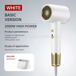 High-Speed Hair Blow Dryer for Afro Black Hair Extensions & Wigs