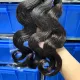 Single Donor Virgin Filipino Hair Weave Bundle Body Wave