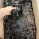 Exquisite Virgin Hair Bundles Straight Wholesale