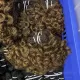 Exquisite Virgin Hair Bundles Pixie Curl Wholesale