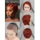 Affordable 13x4 Pixie Wig Curvy  Wholesale